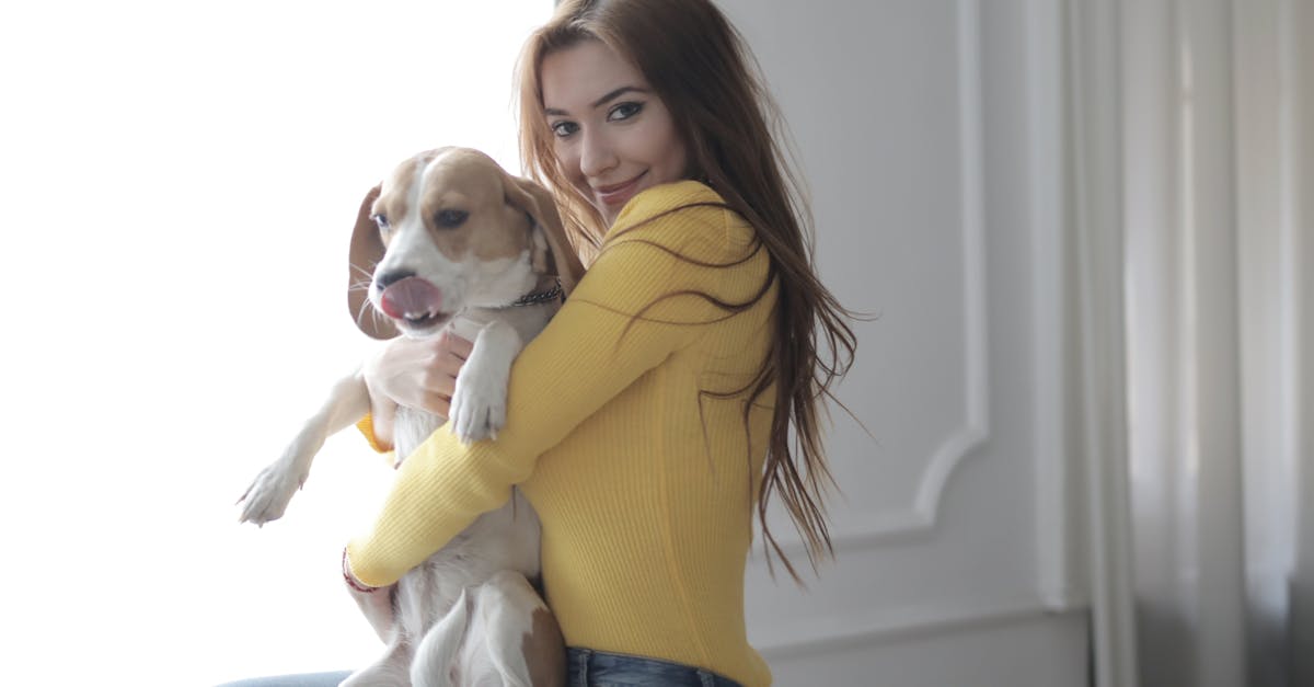 découvrez les meilleures pratiques pour prendre soin de votre beagle, de son alimentation à son exercice, en passant par les conseils de toilettage et de santé. offrez à votre compagnon des conditions de vie optimales !