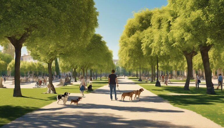 découvrez les meilleurs espaces verts de montpellier pour promener votre chien en toute sérénité. explorez des parcs et jardins adaptés aux promenades canines, où vous pourrez profiter de la nature tout en offrant à votre compagnon à quatre pattes des moments de détente et de jeu.