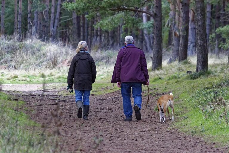 découvrez le plaisir de la promenade canine avec notre service de dog walking. offrez à votre chien des sorties régulières et enrichissantes, tout en bénéficiant de l'expertise de nos professionnels passionnés. garantissez à votre compagnon un exercice physique adapté et un moment de sociabilisation incontournable.