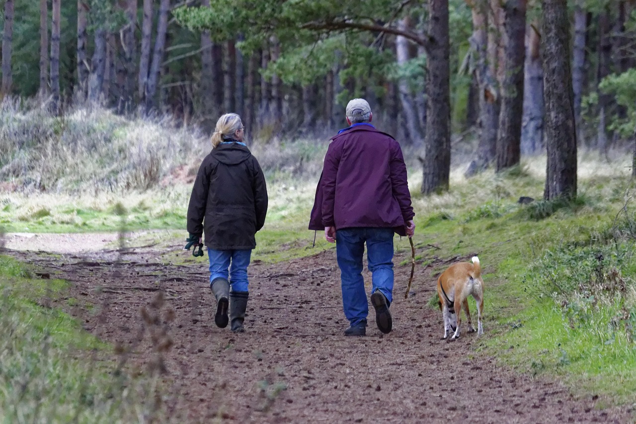 découvrez le plaisir de la promenade canine avec notre service de dog walking. offrez à votre chien des sorties régulières et enrichissantes, tout en bénéficiant de l'expertise de nos professionnels passionnés. garantissez à votre compagnon un exercice physique adapté et un moment de sociabilisation incontournable.