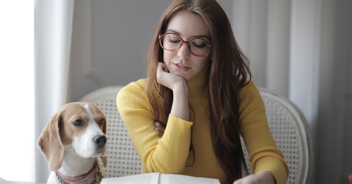 découvrez tout ce qu'il faut savoir sur le poids des beagles, y compris les facteurs qui influencent leur poids idéal, des conseils pour maintenir une bonne condition physique et des informations sur leur croissance. assurez-vous que votre beagle soit en bonne santé et à son poids optimal !
