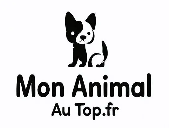 découvrez le logo unique de mon animal au top, représentant l'amour et le bien-être de vos compagnons à quatre pattes. un design professionnel qui met en avant le bonheur animal et la qualité de nos services. adoptez une identité visuelle qui fera la différence !