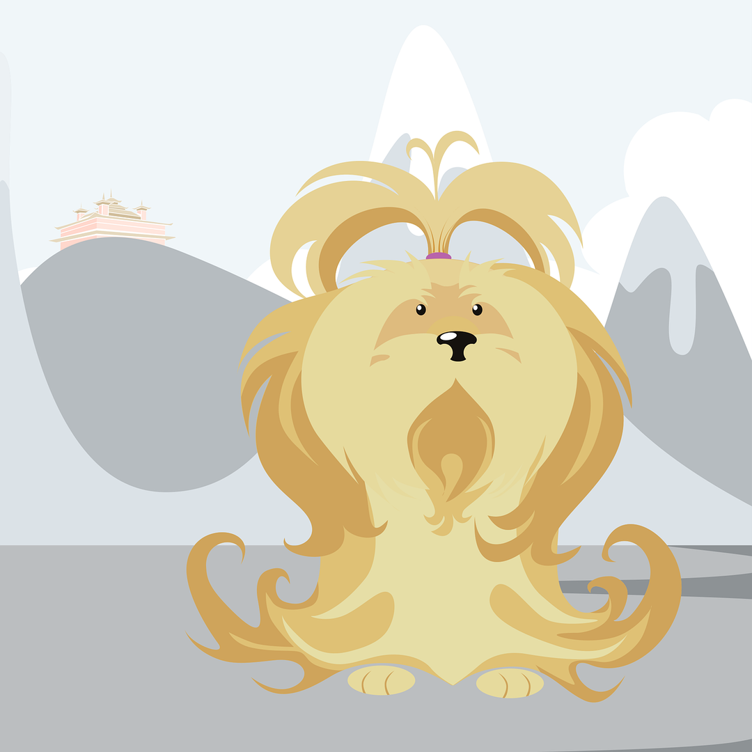 découvrez le lhasa apso, une race de chien originaire du tibet, connue pour sa personnalité affectueuse et sa robe luxuriante. apprenez tout sur son caractère, ses besoins en soins et pourquoi il fait un compagnon idéal pour votre famille.